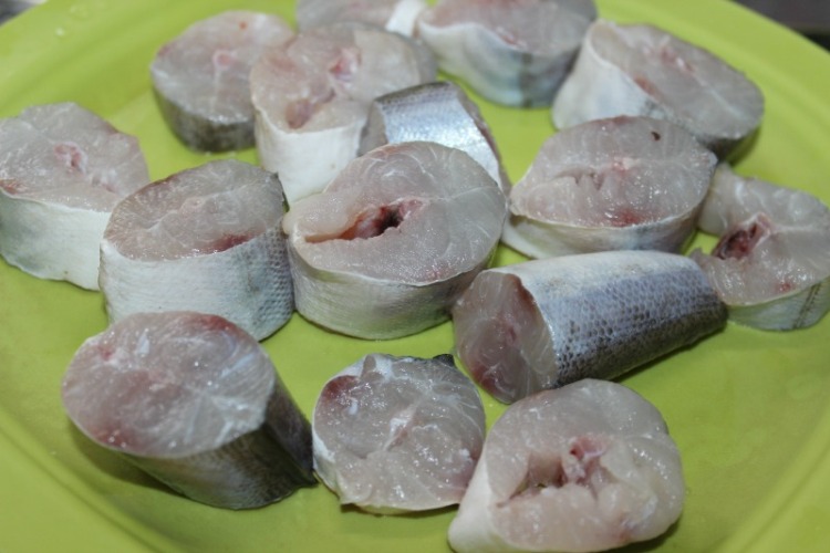 shila fish
